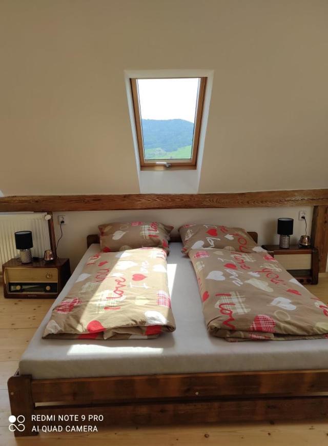 Art-House 4 Attic Apartment Дечин Екстериор снимка